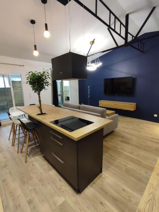 Appartement Le Secret 140M2, Proche Sanctuaires, Climatise Lourdes Zewnętrze zdjęcie